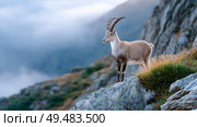 Majestic alpine ibex on rocky mountain slope in misty landscape. Стоковое AI-изображение, AI-художник Olga Didraga / Фотобанк Лори