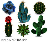 Popular indoor plants elements and succulents rosettes varieties including pin cushion cactus realistic collection isolated vector collection. Стоковая иллюстрация, агентство Ingram Publishing / Фотобанк Лори