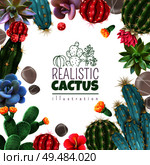 Blooming cacti and popular succulents varieties easy care decorative indoor plants realistic colorful square frame vector illustration. Стоковая иллюстрация, агентство Ingram Publishing / Фотобанк Лори