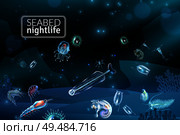 Seabed nightlife underwater scene with reef seaweed coral and plankton characters cartoon vector illustration. Стоковая иллюстрация, агентство Ingram Publishing / Фотобанк Лори
