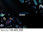 Plankton abstract background with marine different small organism both phytoplankton and zooplankton cartoon vector illustration. Стоковая иллюстрация, агентство Ingram Publishing / Фотобанк Лори