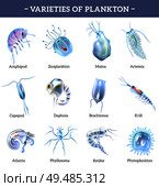 Varieties of plankton isolated icons set with text explanation cartoon vector illustration. Стоковая иллюстрация, агентство Ingram Publishing / Фотобанк Лори