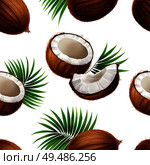 Whole and cut coconuts with palm frond leaves strewn on white background realistic seamless pattern vector illustration. Стоковая иллюстрация, агентство Ingram Publishing / Фотобанк Лори