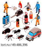 Pest control disinfection service isometric icons set with ant rat cockroach  professional exterminators team equipment vector illustration. Стоковая иллюстрация, агентство Ingram Publishing / Фотобанк Лори