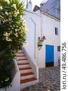 Ibiza Eivissa downtown Dalt Vila facades in Balearic Islands. Стоковое фото, агентство Ingram Publishing / Фотобанк Лори
