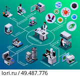 Microbiology lab flowchart  bioreactor electron microscopy seeding bacteria colony counting  isometric elements vector illustration. Стоковая иллюстрация, агентство Ingram Publishing / Фотобанк Лори