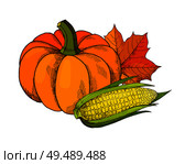 Pumpkin and corn with leaves and seeds, maize vegetable autumn harvesting vector. Seasonal harvest and maple foliage, defoliation and uncooked meal. Pumpkin and Corn Maize Autumn Harvesting Vector. Стоковая иллюстрация, агентство Ingram Publishing / Фотобанк Лори