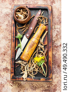 Roots and rhizomes of elecampane.Medicinal plant inula. Rhizomes inula on cutting board. Стоковое фото, агентство Ingram Publishing / Фотобанк Лори