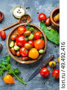 Autumn harvest of tomatoes.Pickling of ripe tomatoes.Canning fresh tomatoes. Pickling or canning tomatoes. Стоковое фото, агентство Ingram Publishing / Фотобанк Лори