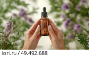Natural herbal oil dropper held among flowering plants in a sunny setting. Стоковое AI-изображение, AI-художник Katsiaryna Repich / Фотобанк Лори