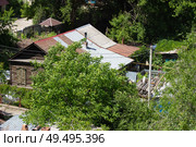 Вид сверху. Дома частного сектора утопающие в зелени деревьев. Саратов. Стоковое фото, фотограф Евгений Будюкин / Фотобанк Лори
