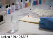 Microbiological examination of blood. Стоковое фото, фотограф Лазаренко Светлана / Фотобанк Лори