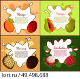 Mango and papaya posters set with text sample. Tropical fruits vegetarian dieting food. Rambutan and marang slice, nutritious meal with info vector. Mango and Papaya Posters Set Vector illustration. Стоковая иллюстрация, агентство Ingram Publishing / Фотобанк Лори