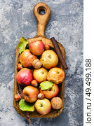 Baked apples with cinnamon and nuts.Fruit dessert baked red apples. Red baked apples. Стоковое фото, агентство Ingram Publishing / Фотобанк Лори