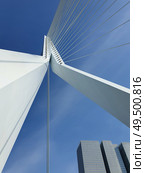Erasmus bridge over Meuse river in Rotterdam, the Netherlands. Abstract architecture details over blue sky background. Erasmusbrug called the swan, 284m long, designed by Ben van Berkel. Стоковое фото, агентство Ingram Publishing / Фотобанк Лори