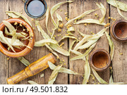 Herbal medicine.Healing tincture or decoction of linden flowers. Healing linden potion. Стоковое фото, агентство Ingram Publishing / Фотобанк Лори