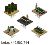 Tea industry production process 5 isometric infographic elements set with withering rolling oxidizing fermentation isolated vector illustration. Стоковая иллюстрация, агентство Ingram Publishing / Фотобанк Лори