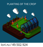 Planting of crops isometric composition with group of farmers transplanting seedlings from greenhouse to beds vector Illustration. Стоковая иллюстрация, агентство Ingram Publishing / Фотобанк Лори