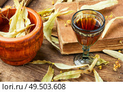 Herbal medicine.Healing tincture or decoction of linden flowers. Healing tincture of linden. Стоковое фото, агентство Ingram Publishing / Фотобанк Лори