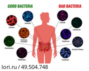 Good and bad bacteria poster with healthcare and treatment symbols flat  vector illustration. Стоковая иллюстрация, агентство Ingram Publishing / Фотобанк Лори