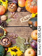 Autumn composing with pumpkin, fruit and fall leaves.Fall still life. Autumn harvest still life. Стоковое фото, агентство Ingram Publishing / Фотобанк Лори