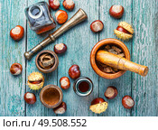 Horse chestnut oil extract in herbal medicine.. Chestnut in herbal medicine. Стоковое фото, агентство Ingram Publishing / Фотобанк Лори
