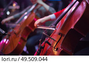 cello at a concert. Стоковое фото, агентство Ingram Publishing / Фотобанк Лори
