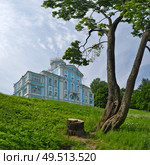 Voronzov Mansion (Novoznamenka Estate, St. Petersburg), blue-and-white Baroque palace by Trezzini and Rinaldi, summer view with green meadow. Стоковое фото, фотограф Елена  Попкова / Фотобанк Лори