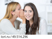 Whispering a secret to a friend. Стоковое фото, агентство Ingram Publishing / Фотобанк Лори