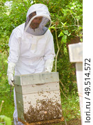 Beekeeper tending hive swarming with bees. Стоковое фото, агентство Ingram Publishing / Фотобанк Лори