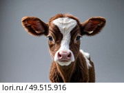 A young calf born poorly on a light background. Стоковое AI-изображение, AI-художник Александр Поташев / Фотобанк Лори