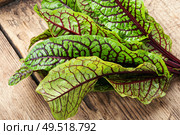 Bunch of fresh sorrel on wooden table.Sorrel bloody mary. Raw sorrel leaves. Стоковое фото, агентство Ingram Publishing / Фотобанк Лори