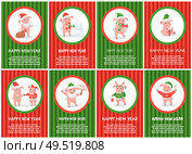 New Year Chinese symbol, pig animal building snowman vector. Winter holiday, piglet holding bauble giving presents gifts. Posters with text sample set. New Year Chinese Symbol, Pig Building Snowman. Стоковая иллюстрация, агентство Ingram Publishing / Фотобанк Лори