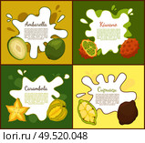 Ambarella and kiwano set of posters with text sample. Carambola and cupuacu tropical succulent product. Exotic fruits delicious healthy meal vector. Ambarella and Kiwano Posters Vector Illustration. Стоковая иллюстрация, агентство Ingram Publishing / Фотобанк Лори
