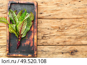 Bunch of fresh sorrel on wooden table.Sorrel bloody mary.Space for text. Sorrel bloody mary. Стоковое фото, агентство Ingram Publishing / Фотобанк Лори