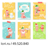 Hello winter, joy of winter merry Christmas vector. Piggy making present to girl, piglet holding sack of Santa Claus wearing beard, building snowman. Hello Winter, Joy of Winter Merry Christmas Cards. Стоковая иллюстрация, агентство Ingram Publishing / Фотобанк Лори