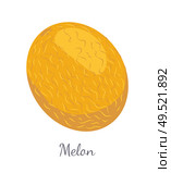 Melon exotic juicy stone fruit vector isolated. Tropical sweet edible, fleshy food, dieting vegetarian icon full of vitamins, yellow dieting dessert. Melon Exotic Juicy Stone Fruit Vector Isolated. Стоковая иллюстрация, агентство Ingram Publishing / Фотобанк Лори