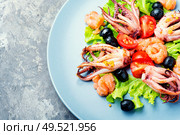 Fresh salad with calamari, salmon and vegetables.Asian salad. Salad with squid and seafood. Стоковое фото, агентство Ingram Publishing / Фотобанк Лори