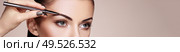 Beautiful brunette woman paints the eyebrows. Beautiful woman face. Makeup detail. Beauty girl with perfect skin. Стоковое фото, агентство Ingram Publishing / Фотобанк Лори