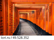 vermillion Torii path at Fushimi Inari Taisha Shrine in Kyoto, Japan. Torii path at Fushimi Inari Taisha Shrine in Kyoto, Japan. Стоковое фото, агентство Ingram Publishing / Фотобанк Лори