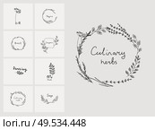 Hand drawn set of culinary herb. Basil and mint, rosemary and sage, thyme and parsley. Food design logo elements. Hand drawn set of culinary herb. Basil and mint, rosemary and sage, thyme and parsley. Food design logo. Стоковая иллюстрация, агентство Ingram Publishing / Фотобанк Лори