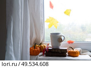 fall coffee on windowsil, autumn view with leaves in background. Fall leaves autumn background. Стоковое фото, агентство Ingram Publishing / Фотобанк Лори