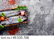 Fresh whole raw trout on a kitchen board.Fresh fish with vegetables and seasonings.. Fresh raw salmon red fish. Стоковое фото, агентство Ingram Publishing / Фотобанк Лори