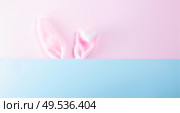 Easter rabbit flalffy ears on pink nd blue background with copy space. Easter scene with rabbit ears. Стоковое фото, агентство Ingram Publishing / Фотобанк Лори
