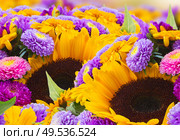 mixed fresh bright fall flowers close up . mixed autumn flowers. Стоковое фото, агентство Ingram Publishing / Фотобанк Лори