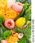 bouquet of fresh spring  rose and tulip flowers on white background. bouquet of fresh spring  flowers. Стоковое фото, агентство Ingram Publishing / Фотобанк Лори