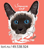 A vector illustration of Siamese Cat Painting Poster. Стоковая иллюстрация, агентство Ingram Publishing / Фотобанк Лори