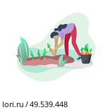 Harvesting and gardening people, woman doing farming and garden job, planting, lay ripe vegetables to box. Reaping crop concept. Harvesting and gardening people doing farming and garden job, pick berries, remove weeds, watering, planting, growing and transplant sprouts, lay ripe vegetables to box. Reaping crop. Стоковая иллюстрация, агентство Ingram Publishing / Фотобанк Лори