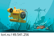 Bathyscaphe diving cabin approaches treasure chest on bottom surrounded by fish and seaweeds underwater background  vector illustration. Стоковая иллюстрация, агентство Ingram Publishing / Фотобанк Лори