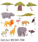 Safari wild animals birds trees flat icons collection with baobab acacia crocodile zebra flamingo lion vector illustration. Стоковая иллюстрация, агентство Ingram Publishing / Фотобанк Лори